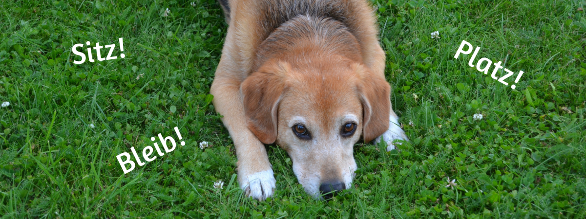 Hör auf, deinen Dienstleister zu erziehen