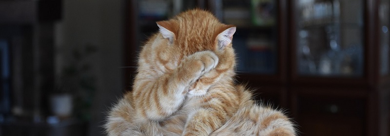 Passieren mehr Fehler, wenn man sich nicht mehr darüber ärgert?