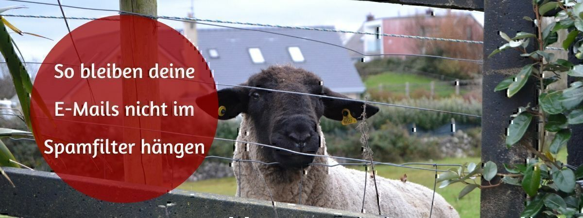 Spamfilter für E-Mails vermeiden