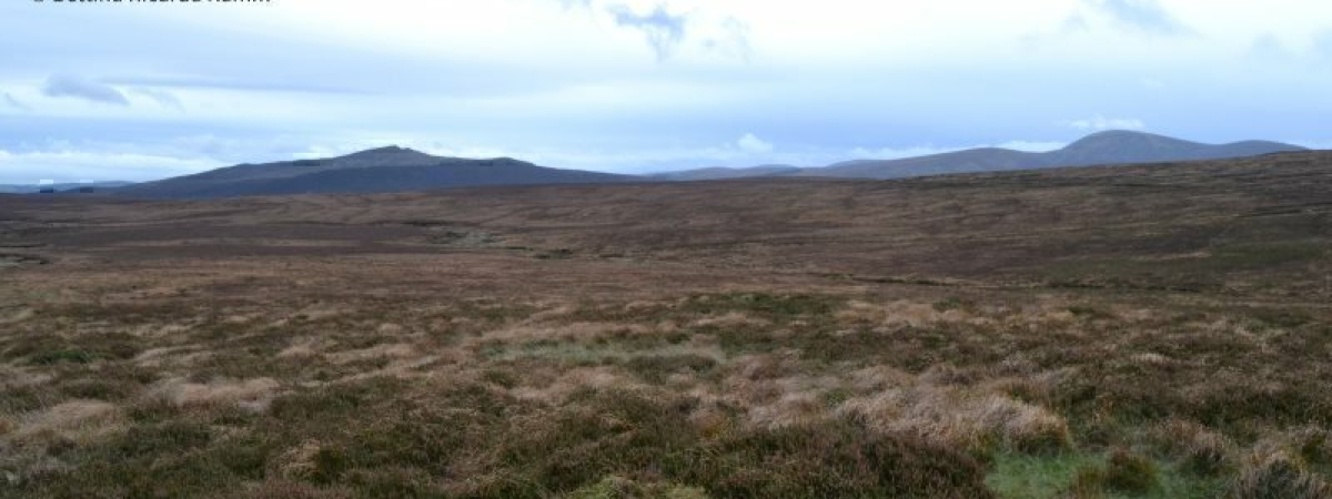 Blick über die Hochebenen Wicklow Mountains