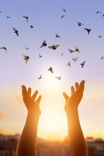 erhobene Hände und Vögel im Sonnenaufgang erhobene Hände und Vögel im Sonnenaufgang